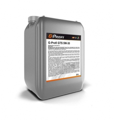 G-Profi GTS 5W-30 20л